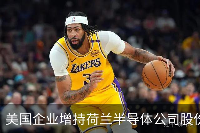 美国企业增持荷兰半导体公司股份之监管博弈分析